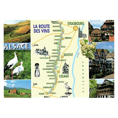 Carte touristique de la Route des Vins en Alsace avec illustrations et séparations.